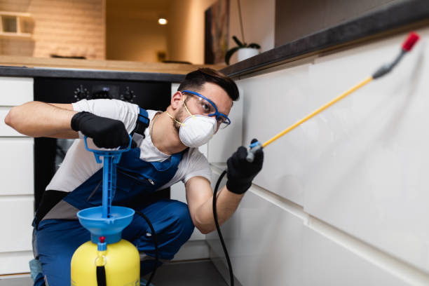 Wasp Removal Services in Leesburg, FL