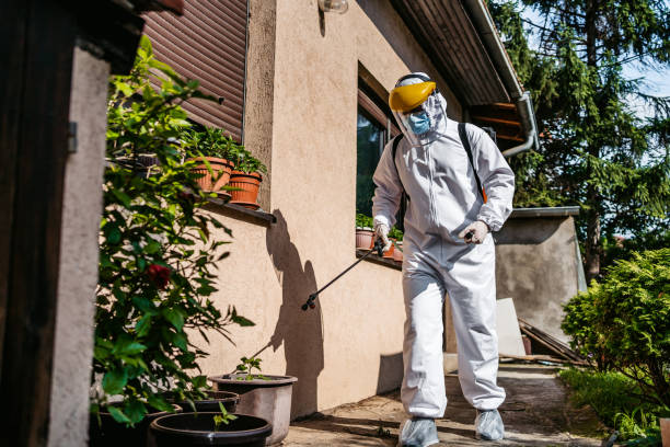 Reliable Leesburg, FL Pest Control Solutions