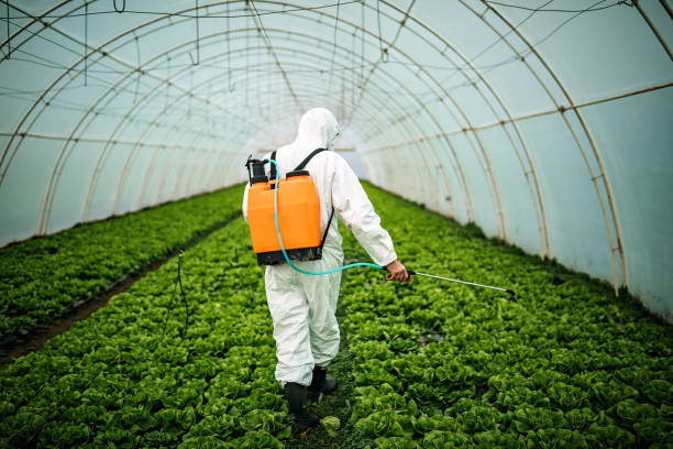 Best Mosquito Control Services  in Leesburg, FL