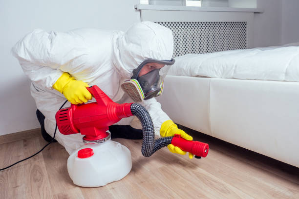 Pest Prevention Services in Leesburg, FL