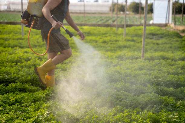 Best Pest Control for Businesses  in Leesburg, FL
