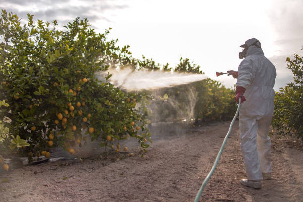 Pest Control for Restaurants in Leesburg, FL