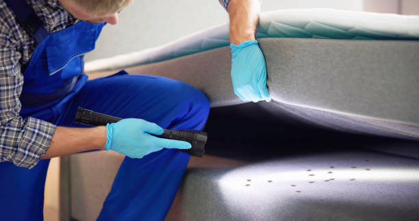 Best Bed Bug Extermination  in Leesburg, FL