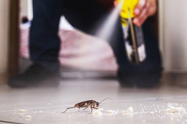 Best Pest Control Near Me  in Leesburg, FL