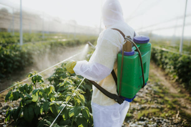 Best Best Pest Control Companies  in Leesburg, FL